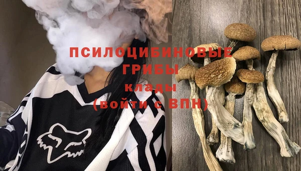 стафф Беломорск