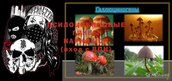 каннабис Белокуриха
