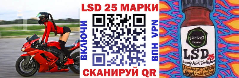 Купить  Губкин  Наркотические марки 1,5мг 