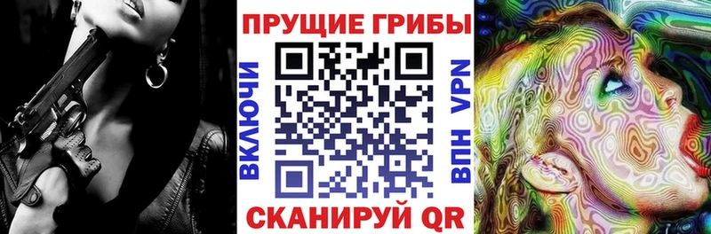 Галлюциногенные грибы Psilocybine cubensis Купить где Губкин